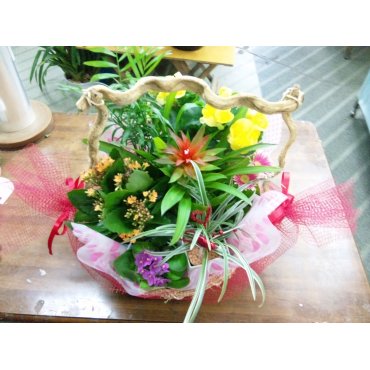 季節の花鉢寄せカゴセット（ピック付）